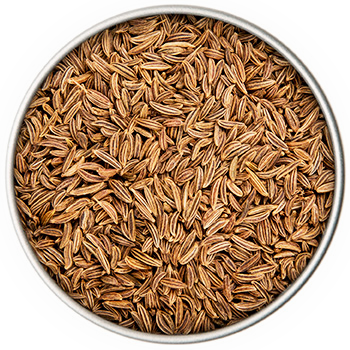 BIO Kümmel